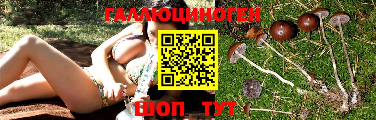 Галлюциногенные грибы Cubensis Уварово