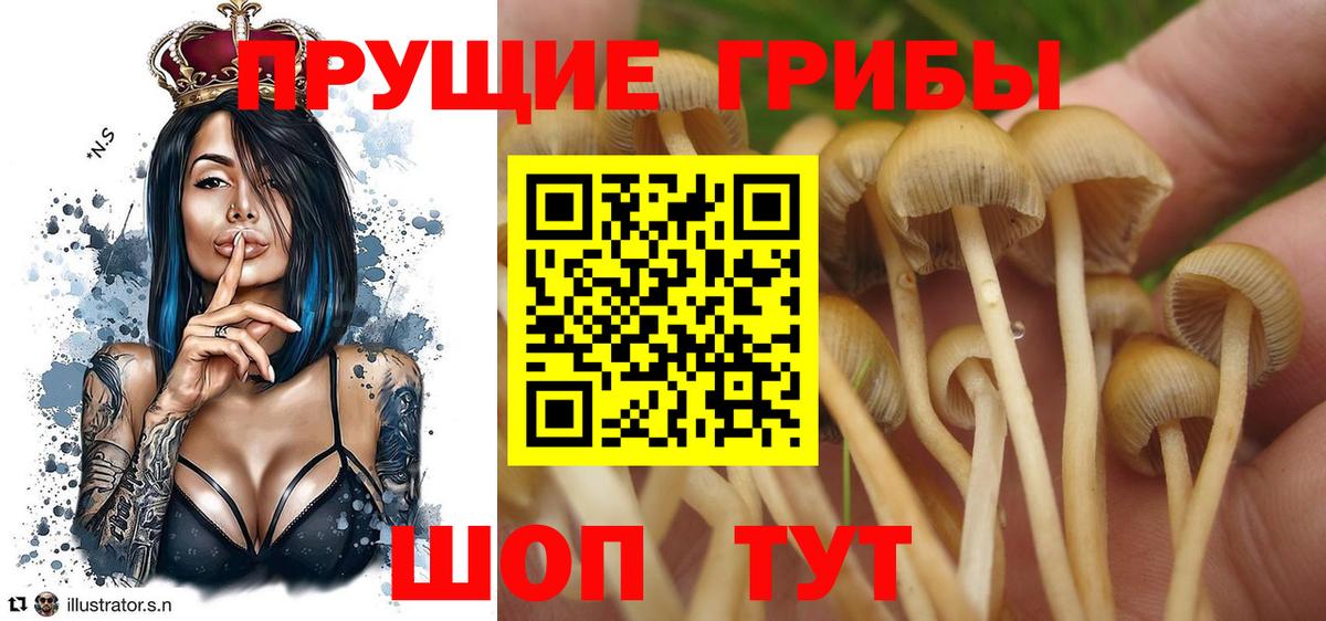 наркотики  Вход с VPN  Уварово  Галлюциногенные грибы Cubensis 